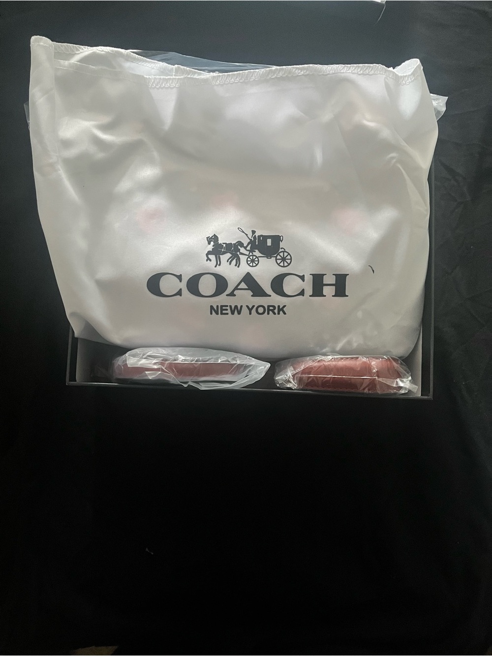Coach Brown Cherry-Print terri Bag - Picture 2 of 3
